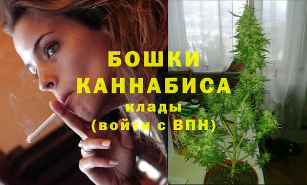 стаф Аркадак