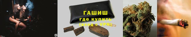 стаф Аркадак