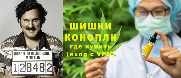 стаф Аркадак