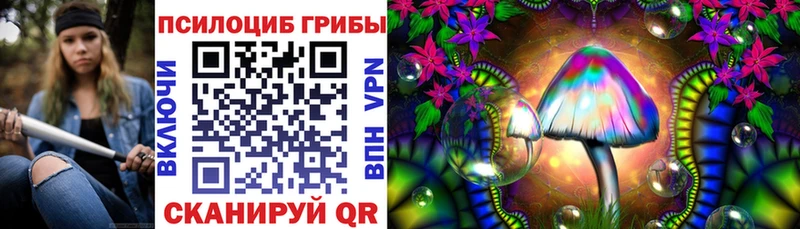 Псилоцибиновые грибы Magic Shrooms  наркошоп  Пучеж 